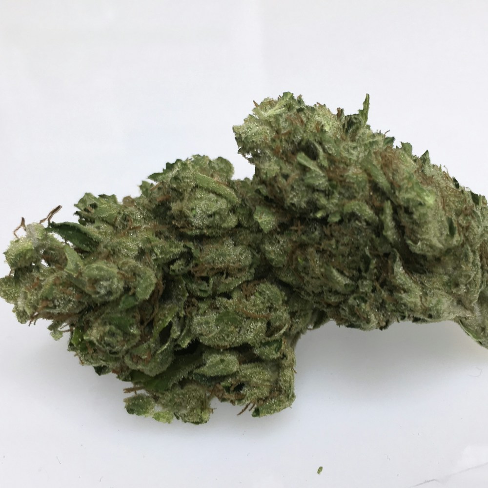 H.N.F Sour Diesel**SPECIAL PRICE** - CA Collective - Medical Marijuana